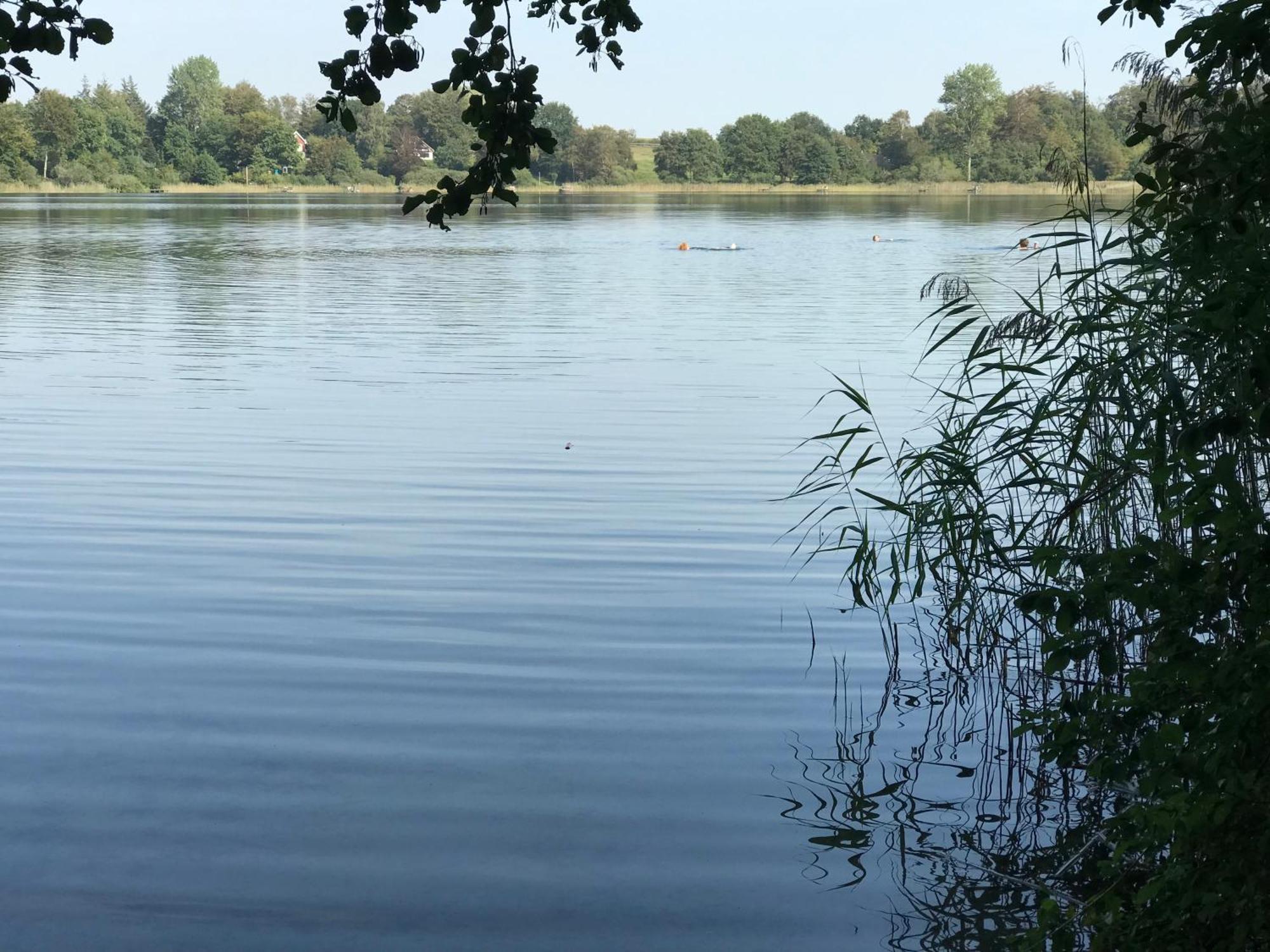 Ferienwohnung Fleckeby Schlei Fjord Light Екстериор снимка